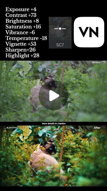 Video Colour Grading, Photo Colour Grading, Colour Grading Film, Cinematic Sunset, Editing On Instagram, Capcut Ideas, Color Grading Tutorial, Film Cinematic, Film Filter