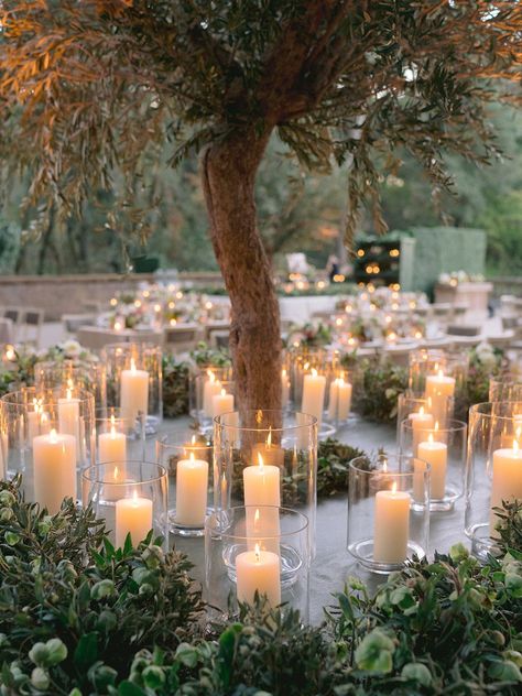 Tree Centrepiece Wedding, Tree Themed Wedding, Filoli Gardens, Sweetheart Table Flowers, Woodside California, Candles Reception, Wedding Tree Decorations, Potted Olive Tree, Candlelit Wedding