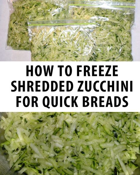 Freeze Shredded Zucchini, Shredded Zucchini Recipes, Freezing Onions, Freeze Vegetables, Blanching Vegetables, Freezing Veggies, Zucchini Waffles, Zucchini Zoodles, Freeze Food