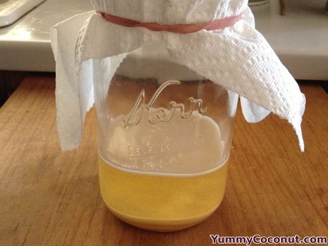 How to Make Coconut Vinegar - Yummy Coconut Coconut Vinegar Recipes, Food Preparedness, Making Wine From Grapes, Probiotic Recipes, Homemade Vinegar, Coconut Vinegar, How To Make Vinegar, Vinegar Recipes, Making Wine