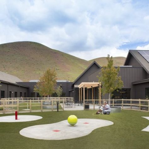 Mountain HumaneHailey, Idaho Animal Arts Animal Shelter Aesthetic, Pet Architecture, Dog Hotel Ideas, Resort Concept, Animal Shelter Design, Pet Garden, Dog Lounge, Dog Shelter, Dog Hotel