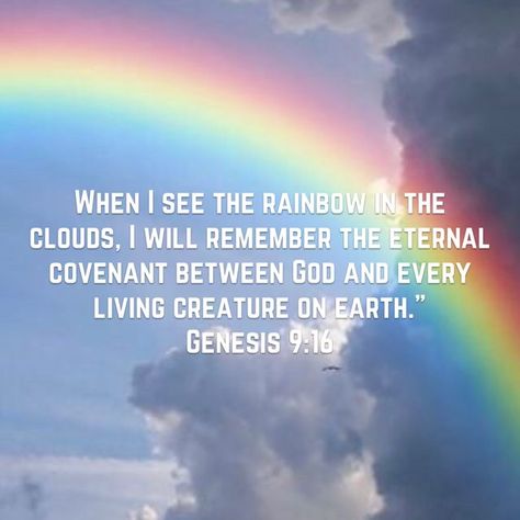 Bible Symbolism, God Speaks, Rainbow Quote, God's Promise, Bible Promises, Faith Prayer, Biblical Quotes, Favorite Bible Verses, In The Clouds