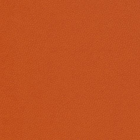 Cleaning With Peroxide, Burnt Sienna, Orange Wallpaper, Flower Phone Wallpaper, Orange Background, Amber Color, Color Swatch, Saturated Color, Green Fabric