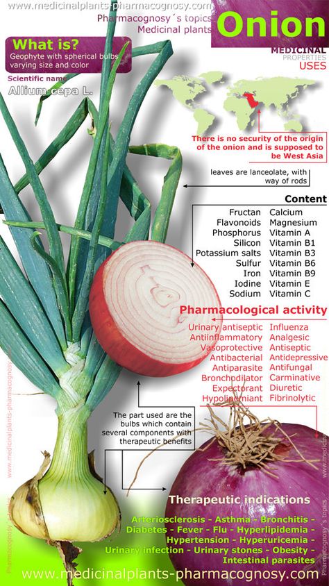 Infographic abstract benefits and uses of Onion Beets Benefits, Plants Benefits, Onion Benefits, Onion Benefits Health, Nature Medicine, Dr Sebi, Herbal Apothecary, Healing Plants, The Onion