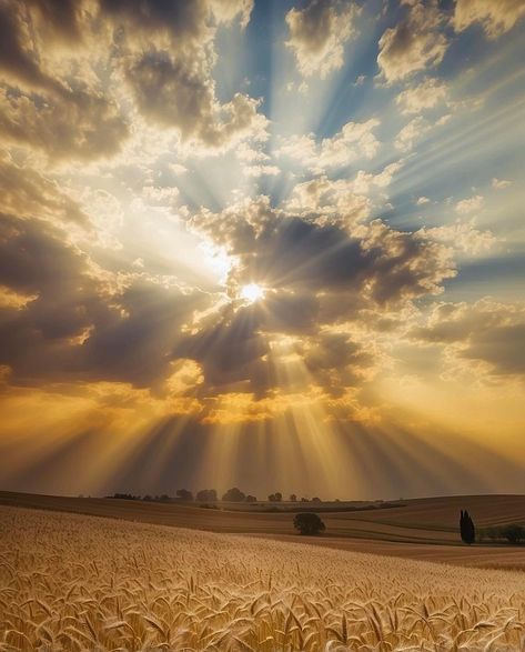 Dawn Lighting Reference, Agricultural Photography, Farm Dream, Sun Landscape, Biblical Paintings, Clouds Art, Yellow Cloud, Sun Aesthetic, Sky Pics