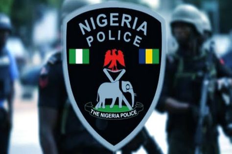 The Adamawa state police command has brought three men before a Magistrate court for allegedly stealing N72 million from a company. The suspects are Abdulrashed Waziri, 36; Richard Moses, 42;... 

The post Police arraign three men for alleged stealing of N72.8m in Adamawa appeared first on The Nation Newspaper. Police Recruitment, Special Police, Armed Robbery, Security Guard, The Paradise, State Police, Police Force, April 20, Law And Order