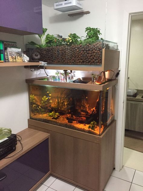 Modern Aquariam Decoration Ideas | Mini Planted Aquariam Fish Tank Designs And Ideas Indoor Aquaponics Aquarium, Aquaponic Aquarium, Indoor Fish Tank, Hydroponic Aquarium, Aquaponics Fish Tank, Aquarium Hydroponics, Aquaponics Aquarium, Hydroponic Gardening System, 10 Gallon Fish Tank