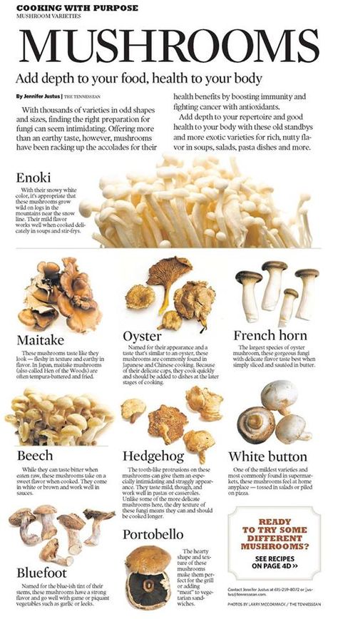 Types of Mushrooms Mushroom Varieties, Mushroom Growing, Edible Mushrooms, Healthy Advice, Food Info, Cooking Basics, Food Facts, Mushroom Recipes, Have You Tried