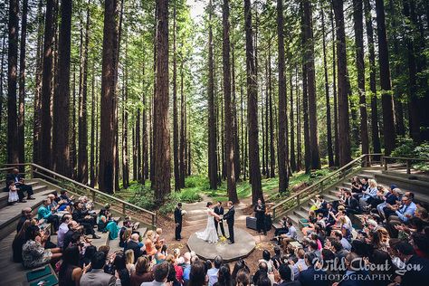 Why my wedding WON'T be just a party where we happen to get married Atheist Wedding, Redwoods Wedding, Redwood Wedding, Redwood Trees, Offbeat Bride, Civil Ceremony, Maybe One Day, Forest Wedding, My Wedding