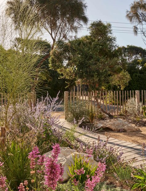 Melbourne Garden, Coastal Garden, Australian Native Garden, Victorian Garden, Australian Garden, Coastal Gardens, Beach Shack, Native Garden, Magical Garden