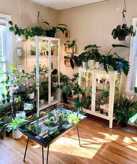 Ikea Milsbo, Plant Cabinet, Ikea Greenhouse, Ikea Glass, Window Plant Shelf, Ikea Cabinet, Home Jungle, Dream House Aesthetic, Backyard Garden Diy