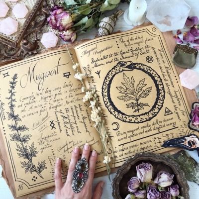 :: Grimoire Cover Ideas, Witch Book Cover, Grimoire Cover, Autumnal Equinox, Plant Protection, Baby Witch, Cover Ideas, Celebration Quotes, Summer Solstice