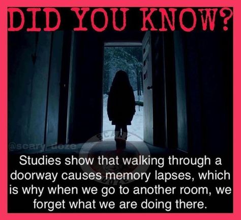 Horror Facts, Science Facts Mind Blown, Wierd Facts, Physiological Facts, Psychological Facts Interesting, Interesting Science Facts, Scary Facts, Biology Facts, True Interesting Facts