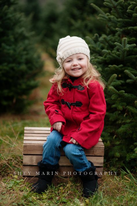 Toddler Christmas Photoshoot, Tree Farm Photos, Christmas Tree Photoshoot, Christmas Tree Farm Pictures, Tree Farm Pictures, Christmas Tree Farm Mini Session, Farm Family Pictures, Tree Farm Photo Shoot, Christmas Tree Farm Photo Shoot