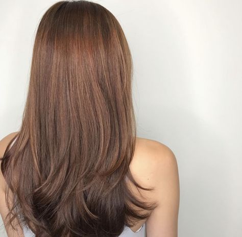 Brown Asian Hair Color, Brown Asian Hair, Brown Hair Asian, Copper Brown Hair, Hair Asian, Hair Color Asian, Ginger Hair Color, Copper Brown, Asian Hair