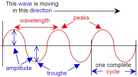 Transverse Wave showing Wavelength and Amplitude Wave Physics, Transverse Wave, Physics Waves, Physics 101, Sound Physics, Ultrasound Physics, Physics Topics, Mechanical Wave, Longitudinal Wave