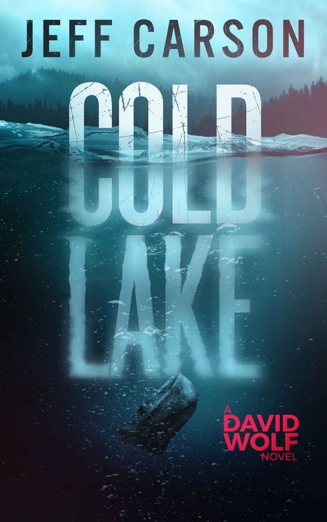 Wolf Book, Cover Design Inspiration, Cold Lake, 타이포그래피 포스터 디자인, Movie Posters Design, Thriller Books, Mystery Thriller, Book Cover Art, Creative Posters