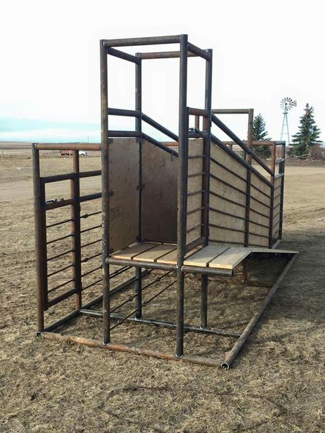 Cattle Loading Chute, Cattle Facility, Cattle Corrals, Livestock Barn, Outside Showers, Cattle Barn, Cow Shed, Green Fence, Small Fence