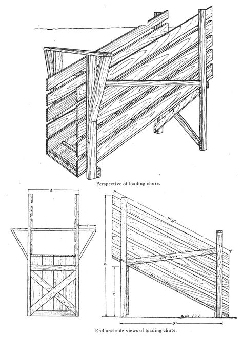 Hog Pen Ideas, Bluebird Houses, Bluebird House Plans, Build A Door, Raising Pigs, Building A Door, Pig Pen, Bluebird House, Pig House