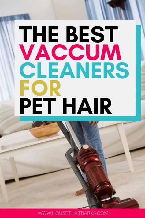 Best Pet Hair Vacuum, Dog Hair Vacuum, Best Vacuum Cleaner, Pet Hair Vacuum, Small Vacuum, Pet Vacuum, Loose Hair, Pet Cleaning, Best Vacuum