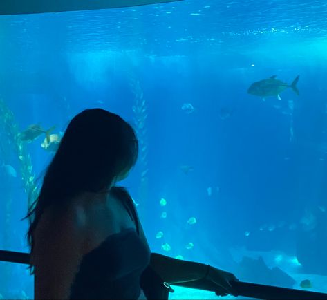 #oceanariolisboa #lisbonoceanarium #oceanarium #aquarium #lisbon #water #fish #shark #wildlife #fashion #recipe #crochet #1 #aesthetic #tiktok Lisbon Oceanarium, 1 Aesthetic, Aesthetic Tiktok, Books Aesthetic, Book Aesthetic, Lisbon, Portugal, Fish, Crochet