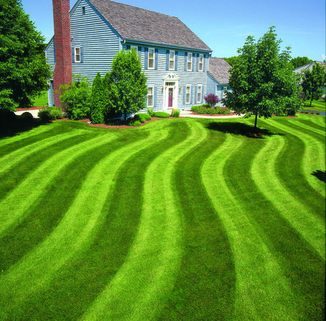 Landscaping tips: how to create striping patterns in your lawn for a sharp look What Is Landscape Architecture, Lawn Striping, Landscaping Business Cards, Growing Grass, Lawn Design, Landscaping Business, Diy Lawn, Grass Pattern, Lawn Sprinklers