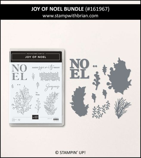 Joy of Noel Bundle, Stampin Up!, 161967 Holiday Cards Handmade, Making Spirits Bright, Gift Card Boxes, Fun Fold Cards, Scrapbook Album, Handmade Holiday, Christmas Box, Card Layout, Card Kit