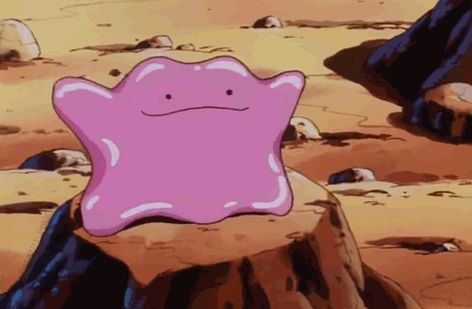 pokemon ditto gif Pokemon Banner, Pokemon Ditto, Pokemon Team, Pokemon Gif, Pokemon Memes, Pokemon Teams, My Pokemon, Pokemon Pictures, Pocket Monsters