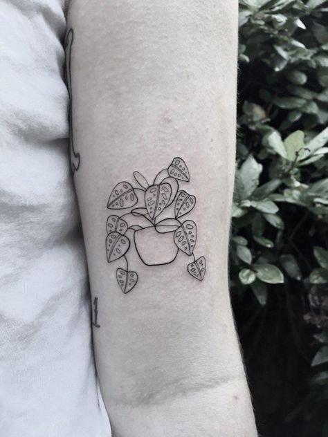 Manly Plant Tattoo, Tiny Pothos Tattoo, Aroid Plant Tattoo, Cute Plant Tattoo Ideas, Tiny Potted Plant Tattoo, Plant Related Tattoos, Small Houseplant Tattoo, Potted Plant Tattoos, Money Plant Tattoo