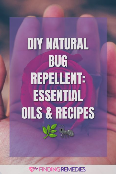 DIY Natural Bug Repellent: Essential Oils & Recipes 🌿🐜 Insect Repellent Essential Oils, Essential Oils Recipes, Natural Bug Repellent, Natural Mosquito Repellant, Cinnamon Oil, Health Signs, Fly Repellant, Cedarwood Oil, Essential Oil Blends Recipes