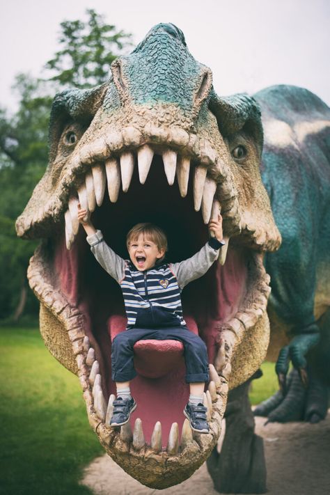 Enter the Kingdom of the Dinosaurs - An Immersive Outdoor Experience | Mummy Fever Dinosaur Exhibition, Illusion Photos, Giant Dinosaur, Real Dinosaur, Dino Park, Dinosaur Head, Dinosaur Photo, Dinosaur Park, Dinosaur Images