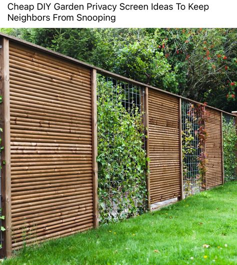 Private Fence Ideas, Fence Decorating Ideas, Privacy Screen Ideas, Backyard Raised Garden, Villa Terrace, Diy Privacy Fence, Garden Screens, Privacy Ideas, Garden Privacy Screen