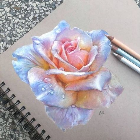 All Posts • Instagram Realistic Flower Drawing, Colored Pencil Art Projects, Pencil Inspiration, Pencil Drawings Of Flowers, Prismacolor Art, Colored Pencil Artwork, Rose Drawing, Insta Tag, Art Drawings Sketches Creative