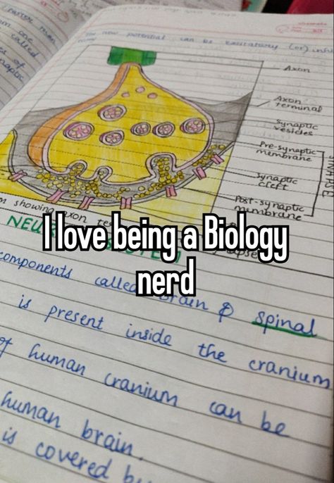 Study Motivation Biology, Zoology Student Aesthetic, Science Study Motivation, Study Place Aesthetic, Human Biology Aesthetic, Studying Biology Aesthetic, Study For Biology, Biology Study Aesthetic, How To Study Biology