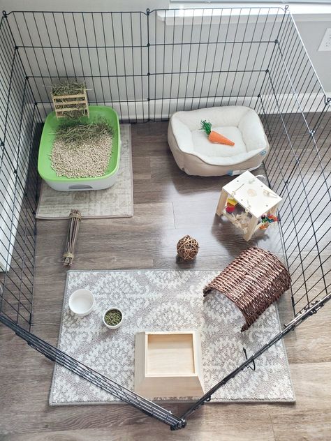 Bunnies With Floppy Ears, Diy Bunny Pen Indoor, Bunny Pen Set Up, Rabbit Playpen Ideas, Diy Rabbit Stuff, Bunny Pen Ideas, Bunny Set Up Indoor Diy, Bunny Pen Indoor, Bunny Cage Ideas Indoor