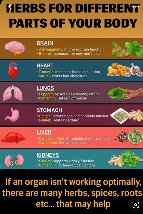 Getting Rid Of Mucus, Reduce Gas, Herbs Spices, Improve Brain Function, Natural Healing Remedies, Yoga Posen, Herbs For Health, Natural Therapy, Healing Herbs