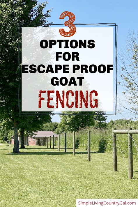 A guide on how to choose the best Escape proof goat fencing for your herd. Know what works and what to look for before you buy. Install a fence that will keep your entire goat herd safe, restrict them from your gardens, and keep predators out. #goatfence #escapeprooffence #dairygoats Goat Wire Fence, Goat Fencing Cheap, Goat Fence Gate, Goat Fencing Ideas Diy, Goat Proof Fence, Easy Goat Fence, Electric Fence For Goats, Goat Fencing Ideas, Best Goat Fencing