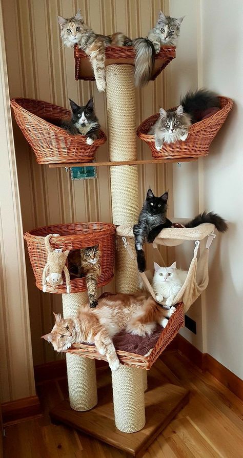 Katt Diy, Cat Room Decor, Cat Furniture Design, Katt Grejer, Chat Diy, Săpunuri Handmade, Cat Tree House, Diy Cat Tree, Cat House Diy