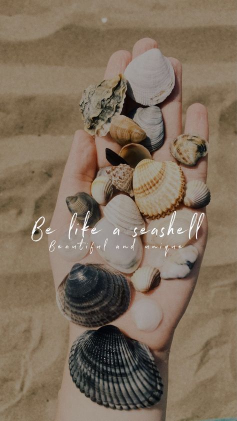 Shell Love Quotes, Sea Shells Quotes, Shell Quotes Seashells, Seashell Quotes, Sea Aesthetic Quotes, Starfish Quotes, Seashells Quote, Shell Quotes, Seashell Aesthetic