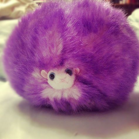 Pygmypuff from Harry Potter Pygmy Puff Harry Potter, Pygmy Puff, Hp Oc, Ancient Magic, Harry Potter 2, Doll Ideas, Harry Potter, Teddy Bear, Dolls