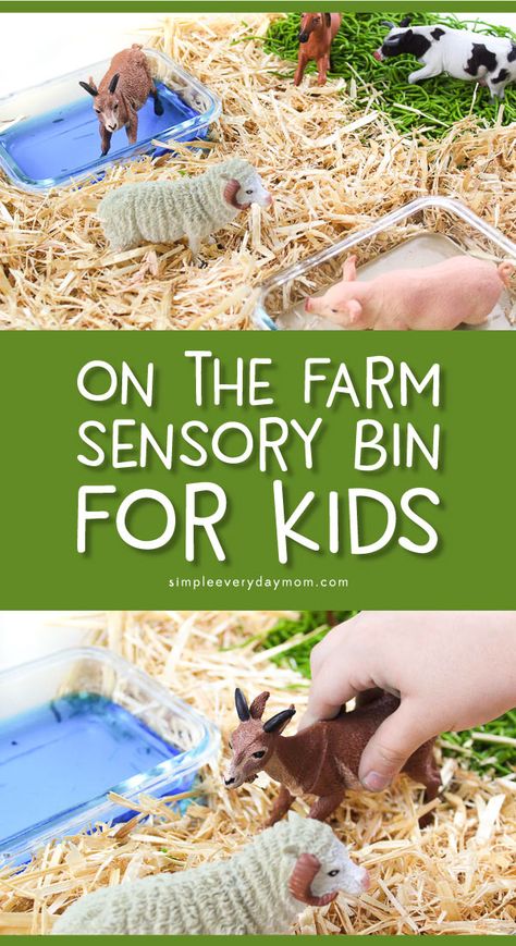 Farm Animal Sensory Bin, Animal Sensory Bin, Abordagem Reggio Emilia, Preschool Farm Theme, Farm Sensory, Farm Sensory Bin, Farm Activities Preschool, Preschool Farm, Farm Animals Preschool