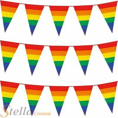 Pride Party, Gay Pride Rainbow Flag, Rainbow Bunting, Picnic Decorations, Pennant Flags, Rainbow Flag Pride, Gay Pride Flag, Pennant Banner, Birthday Party Celebration