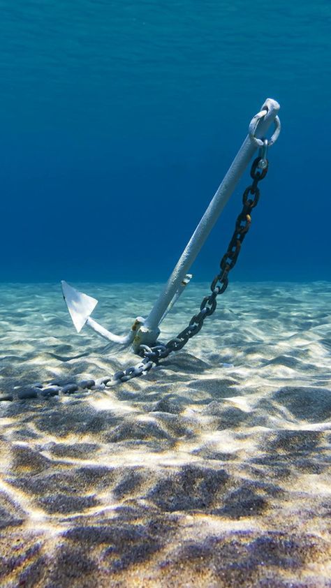 Anchor underwater Ocean Life Photography, Cancun Beaches, Navi A Vela, Bawah Air, Ship Anchor, Underwater Art, Boat Art, Water Photography, Tall Ships