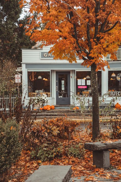 Small Town Upstate New York, New England Fall Vacation, Catskills Ny Aesthetic, Catskills Ny Fall, Catskills Aesthetic, Autocamp Catskills, Upstate New York Aesthetic, Upstate New York Fall, Upstate Ny Fall