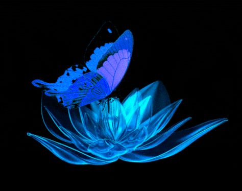 Morpho Azul, Butterfly Gif, Beau Gif, Pixel Art Landscape, Animated Heart, Beautiful Night Images, Aesthetic Space, Blue Aesthetic Pastel, Motion Design Animation