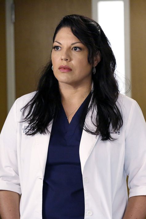 Grey's Anatomy: Sara Ramirez says the 'ball is in ABC's court' for a possible return | EW.com Actor Vision Board, Ellen Pompeo Family, Boston Wedding Dress, Stephanie Edwards, Callie Torres, Sarah Drew, Alex Karev, Sara Ramirez, Madam Secretary