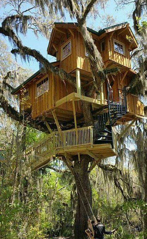 awesome Adult Tree House, Luxury Tree Houses, Beautiful Tree Houses, Treehouse Masters, Tree House Plans, Tree House Diy, Tree House Kids, Cool Tree Houses, Tree House Designs