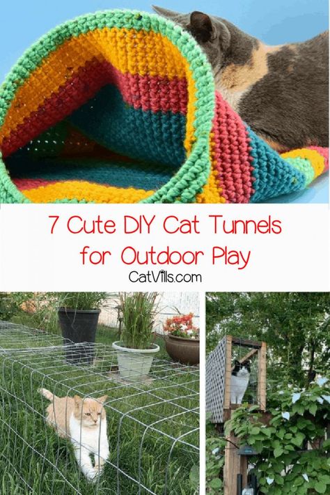 Diy Cat Tunnel, Cat Furniture Diy Homemade, Cat Tunnel Diy, Cat Tunnel Indoor, Outdoor Cat Tunnel, Catio Ideas, Cat Patio, Diy Cat Tree, Diy Cat Toys