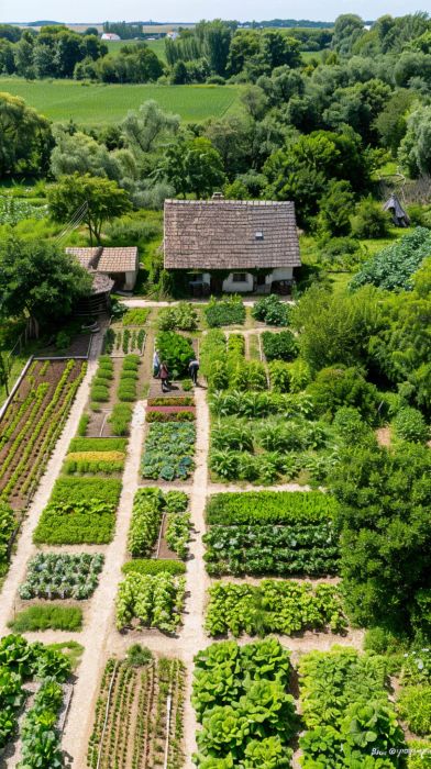 Self Sufficient Backyard: Homestead Garden Layout Backyards, Large Food Garden, Self Sustaining Garden, 5 Acre Homestead Layout With Pond, Permaculture Orchard Layout, How Much Garden To Feed A Family, Homestead On 1/4 Acre, Self Sufficient On 1/4 Acre, Homestead Garden Layout