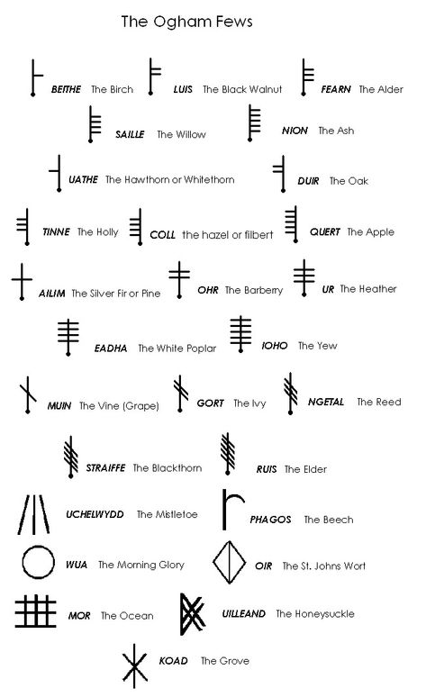 Ogham Tattoo, Celtic Ogham, Celtic Symbols And Meanings, Ogham Alphabet, Alphabet Symbols, Rune Symbols, Magic Symbols, Celtic Mythology, Symbols And Meanings